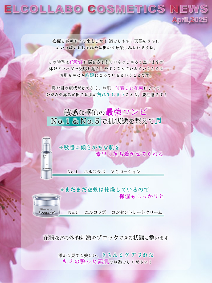 今月のおすすめ