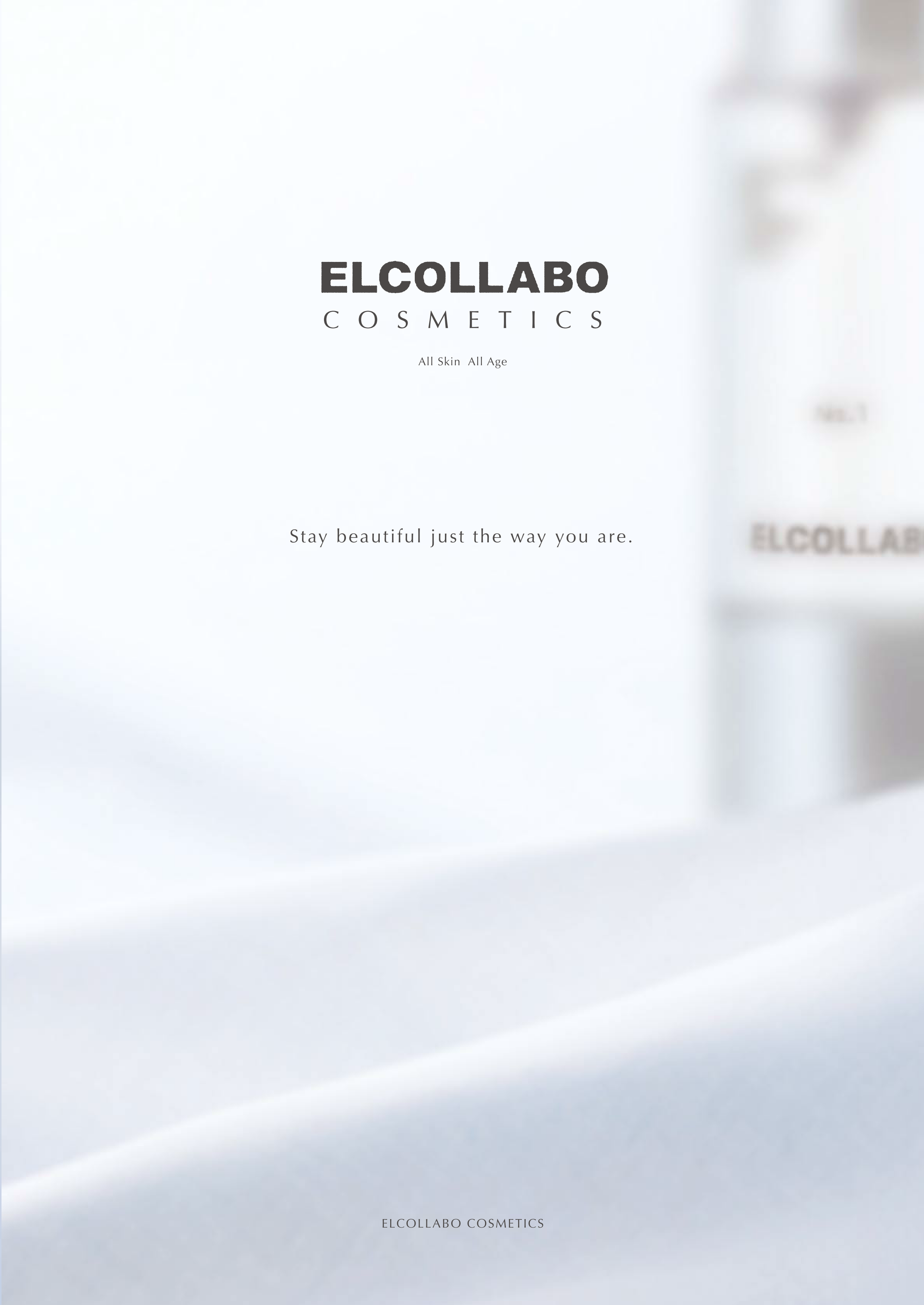 English Brochure